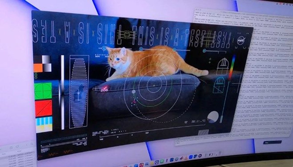 NASA 31 milyon kilometre öteden kedi videosu gönderdi