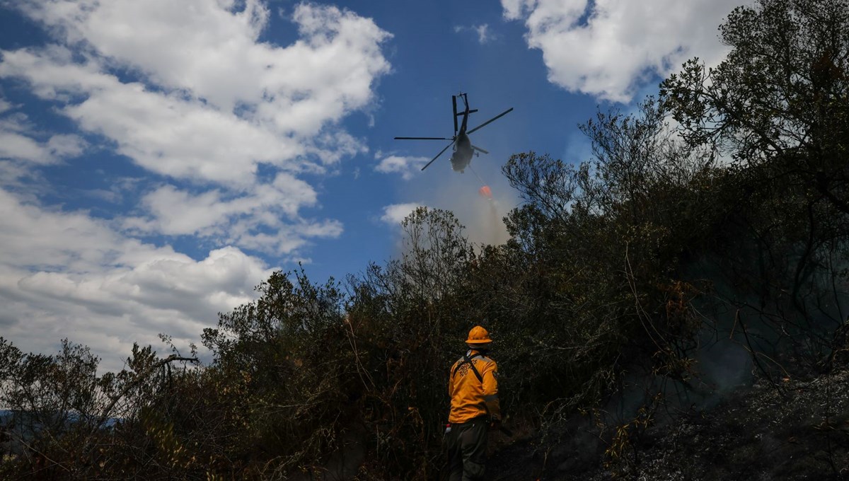 Kolombiya orman yangınlarıyla boğuşuyor: 681 kasabada kırmızı alarm verildi