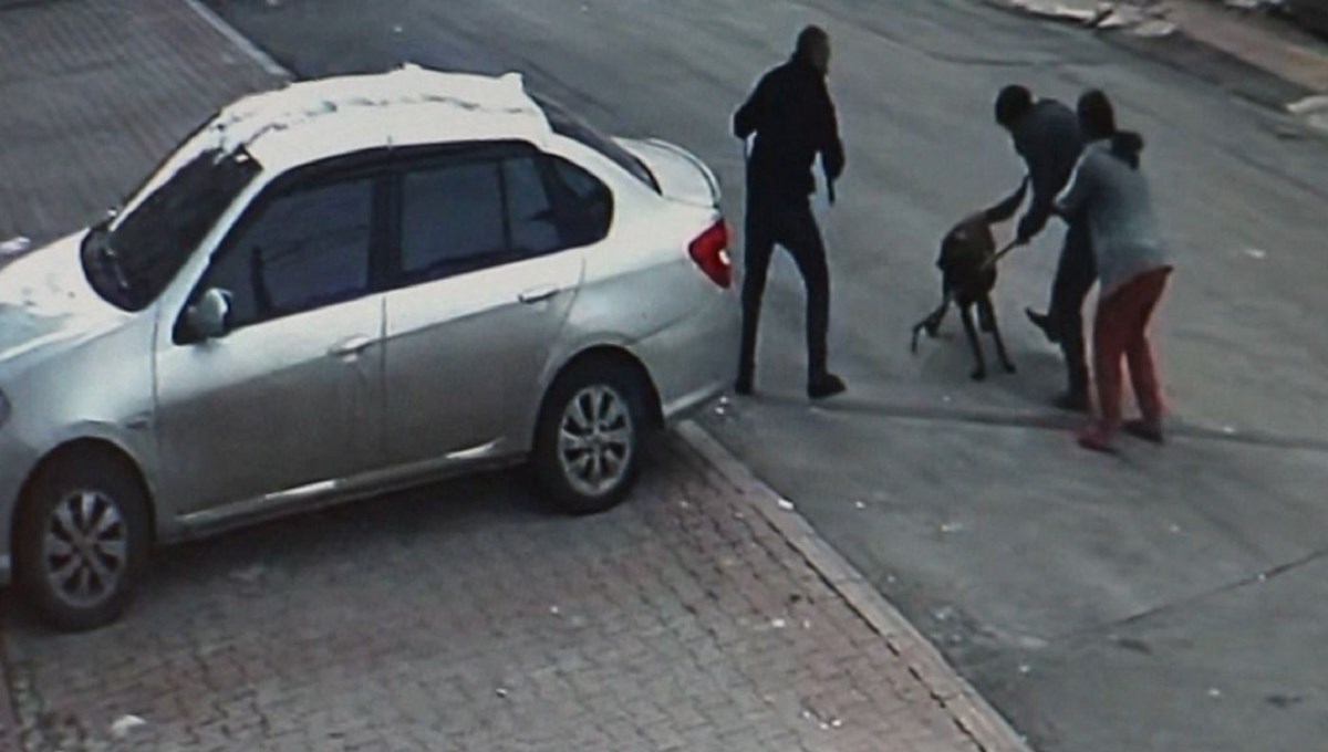 Sivas'ta tasmalı köpek saldırısı! 2'si çocuk 4 kişi yaralandı