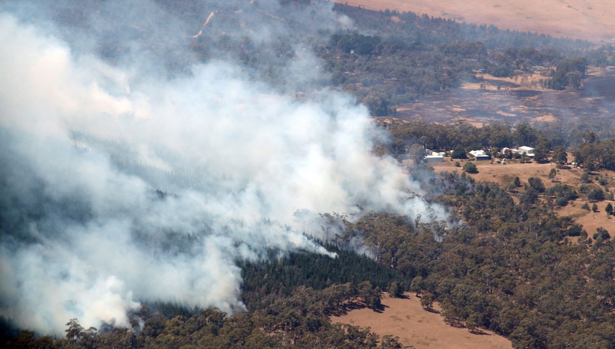 Avustralya'da orman yangını: 30 bin kişi tahliye ediliyor