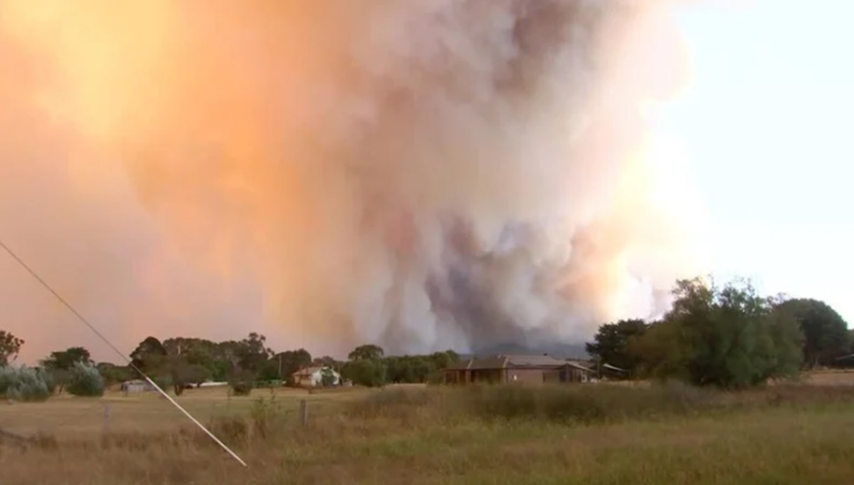 Avustralya'da orman yangını paniği: Tahliye kararı verildi