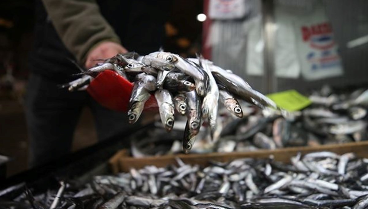 Balıkçılar sezonu kapatmaya hazırlanıyor: Hamsiye talep azaldı