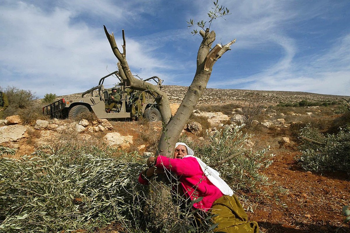 İsrail tankının önünde, kesilen ağacına sarılan Filistin bir kadın. (AP)