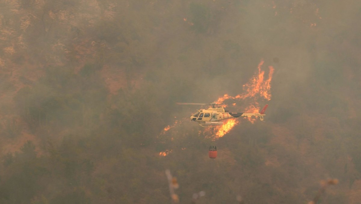 Şili'de felaket | Orman yangınlarında can kaybı arttı