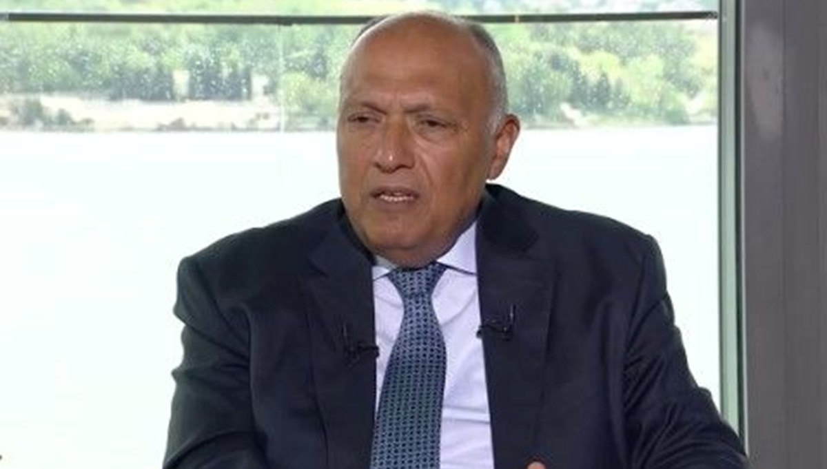 Egyptian Foreign Minister Shukri answered NTV's questions