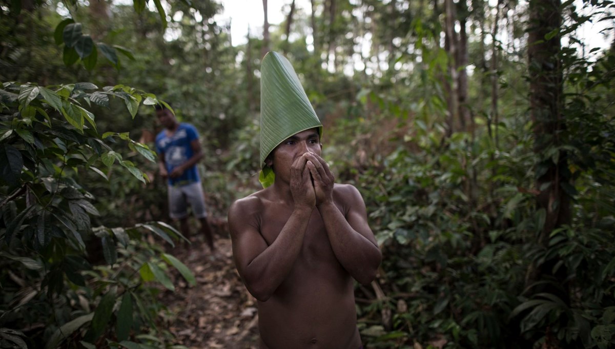 Hükümetler değişti, Brezilya ve Kolombiya'da ağaç kaybı azaldı