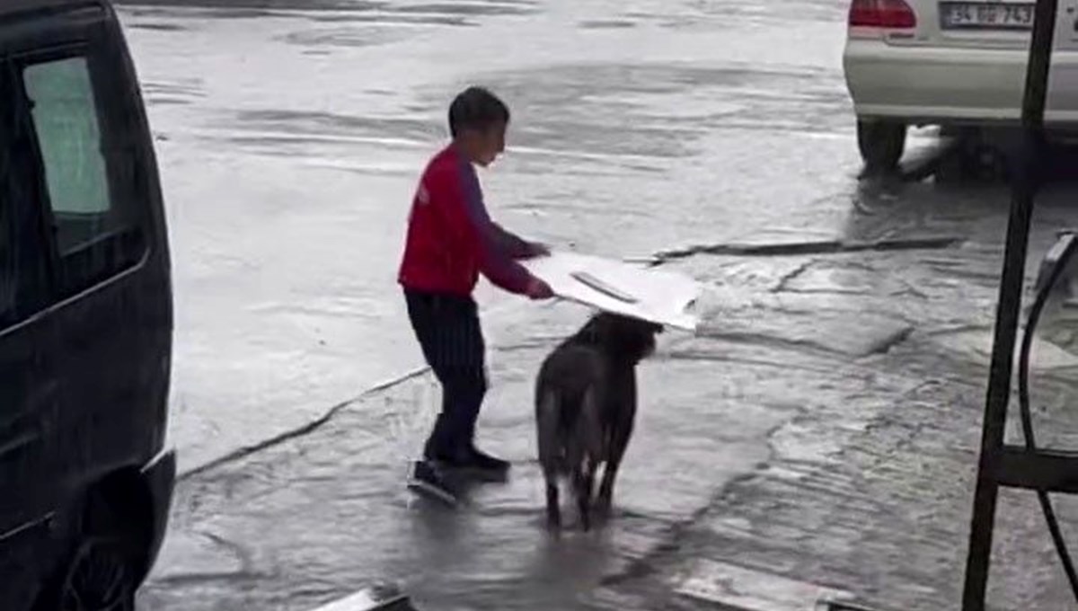 Küçük çocuk yağmurda sokak köpeğini böyle korudu