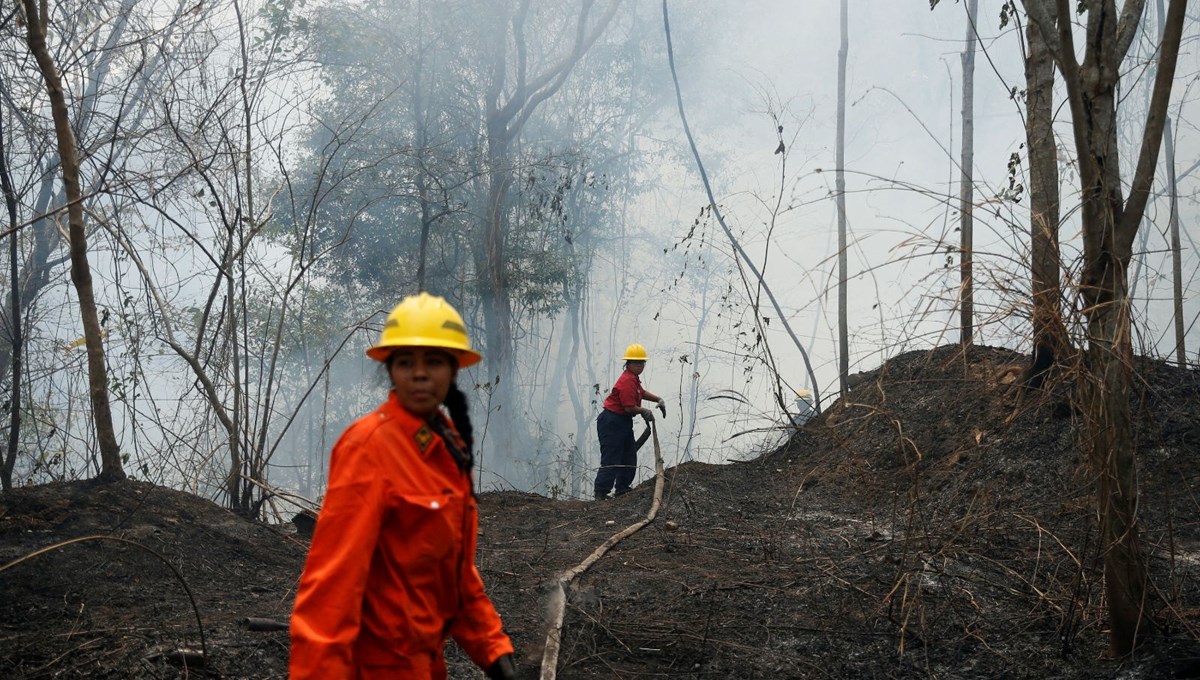 Venezuela, rekor sayıdaki orman yangınlarıyla mücadele ediyor