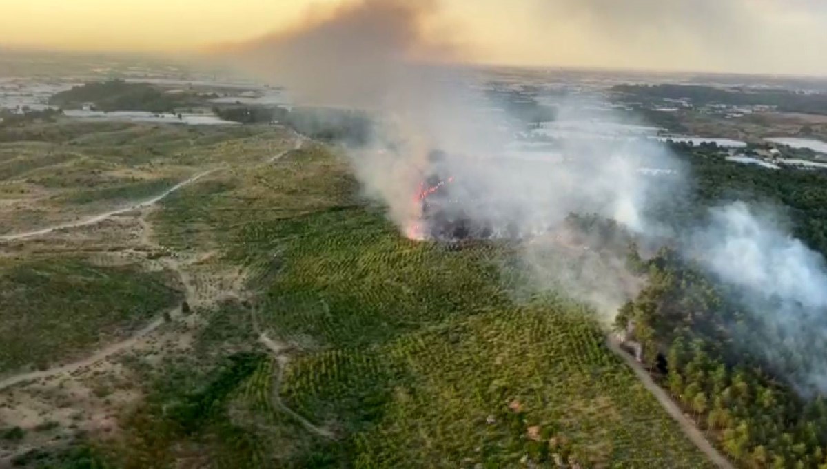 Antalya'da orman yangını: 5 hektar alan kül oldu