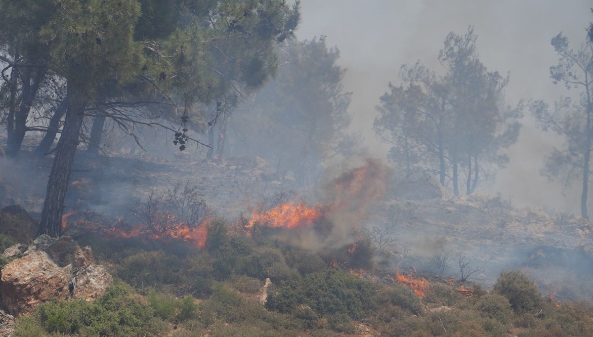 Balıkesir'de makilik yangını: Müdahale sürüyor