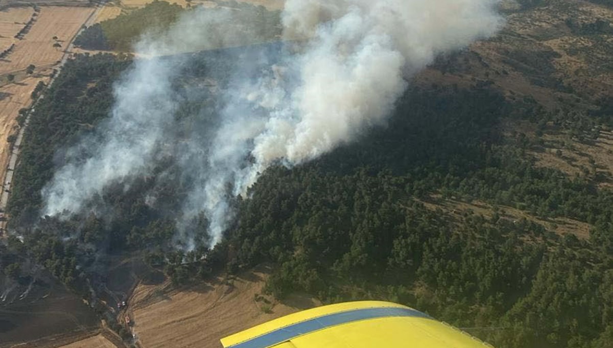Çanakkale'deki orman yangında 5 hektarlık alan kül oldu