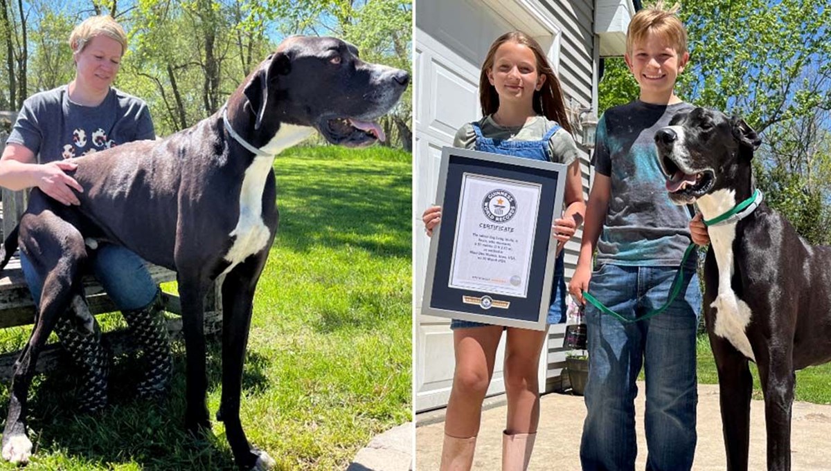Dünyanın en uzun köpeği hayatını kaybetti