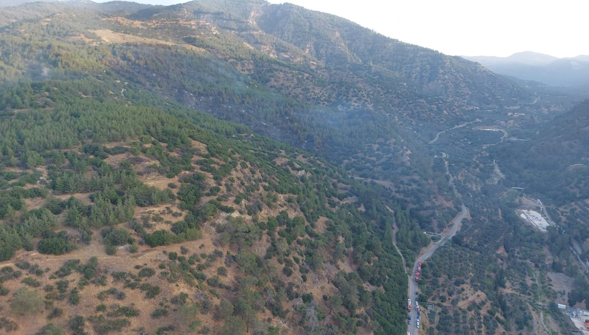 Edirne'de ormanlık alanlara girişler yasaklandı