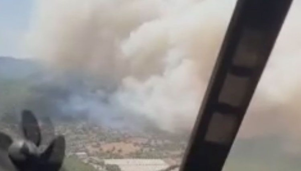 İzmir'de orman yangınları: Selçuk ve Menderes'teki yangınlar kontrol altına alındı