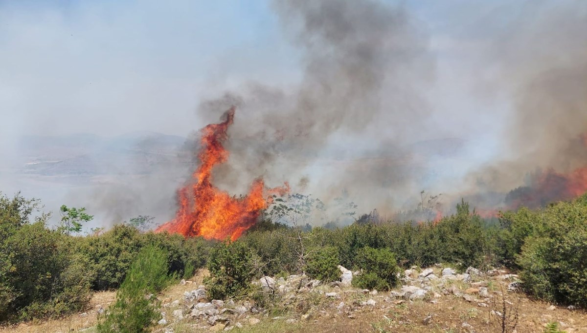 Manisa'da orman yangını: Ekipler müdahale ediyor