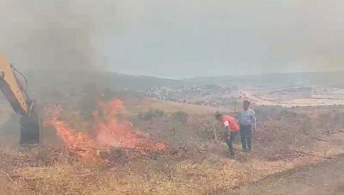 Manisa'da orman yangını: Köpek alevlerin arasında kaldı