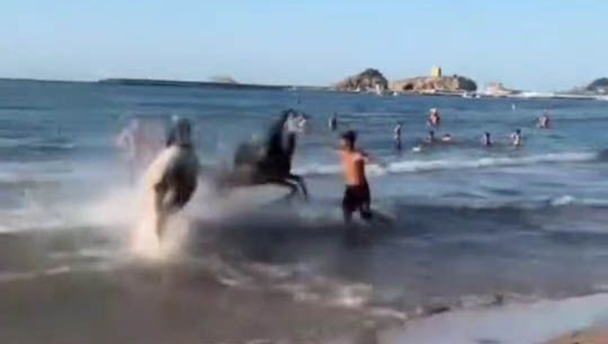 Şile plajında korku dolu anlar: Atlar insanların arasına daldı