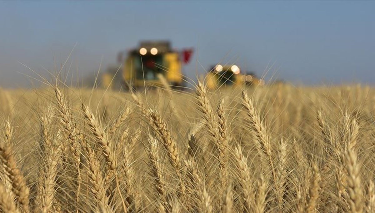 TMO Genel Müdürü Güldal: Buğday alım fiyatları maliyetin üzerinde
