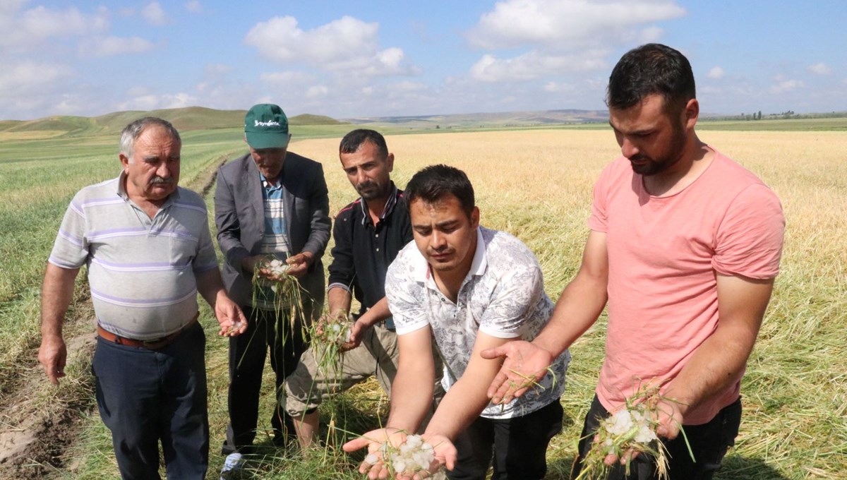 Yozgat'ta dolu yağışı ekili alanlara zarar verdi