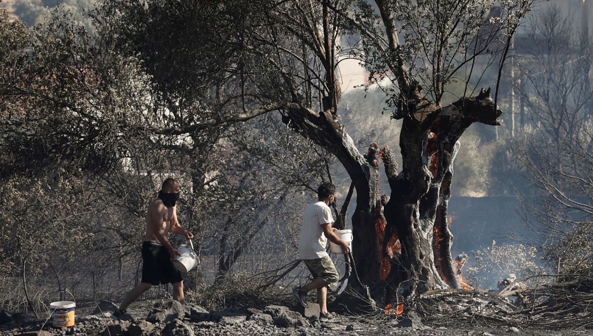Yunanistan'da orman yangını: Tahliye çağrısında bulunuldu