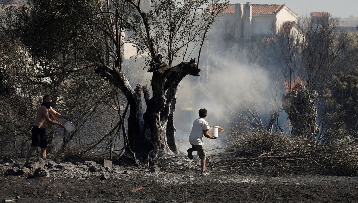 Yunanistan'daki orman yangınlarında bir kişi öldü