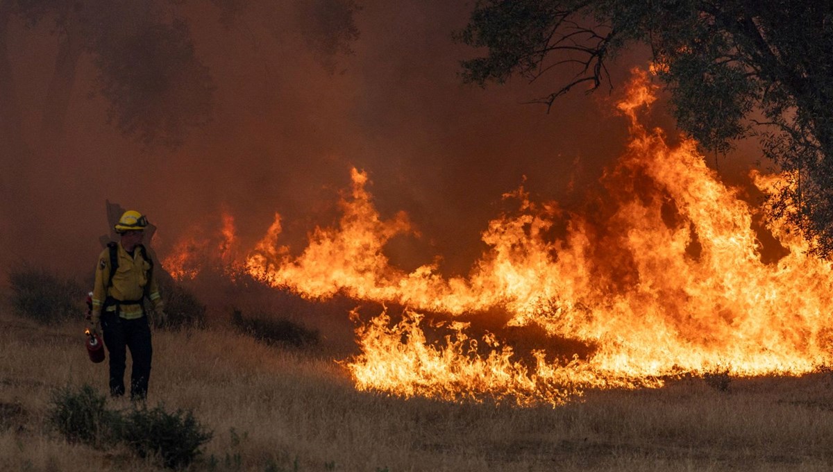 ABD'de orman yangını:139 bin dönümlük alan yandı