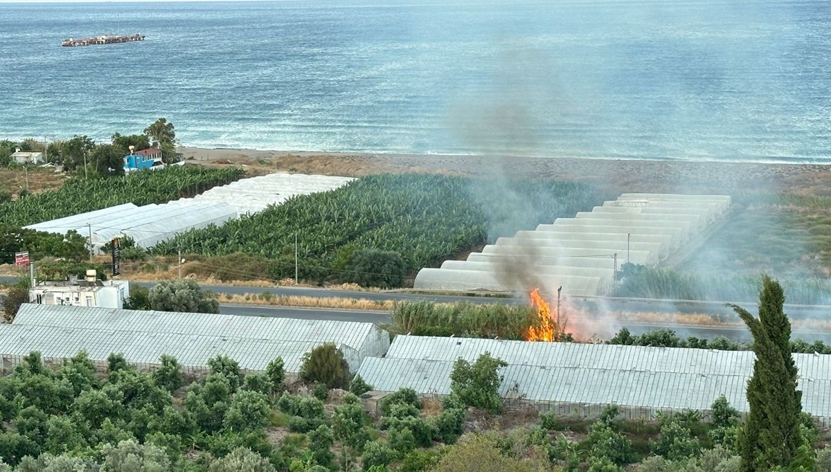 Antalya'da avokado ağaçları yangında zarar gördü