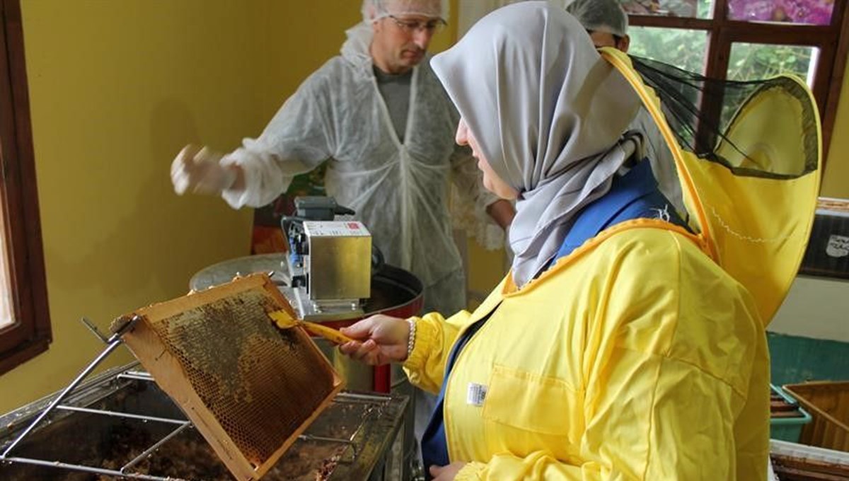 Coğrafi tescil almıştı! Sağım başladı, 1 kaşığı her derde deva