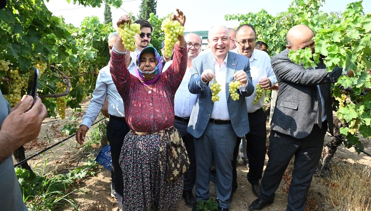 Denizli'de üzüm hasadı başladı