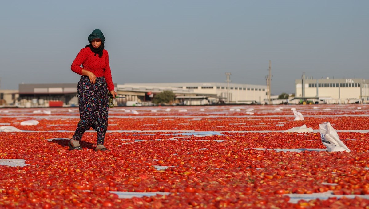 Ege'den ABD ve Avrupa'ya yayılıyor! Makarna, pizza ve salataların vazgeçilmezi