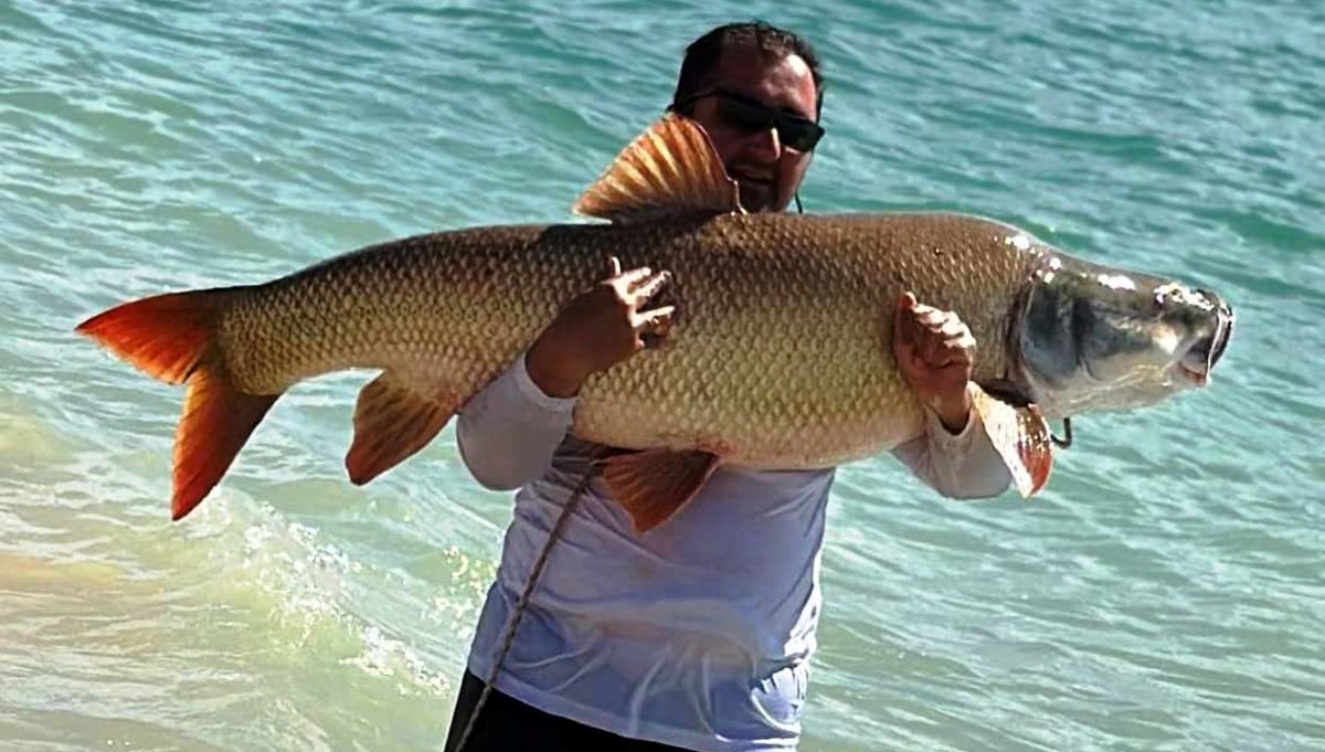 Elazığ'da amatör balıkçılar yakaladı! Tam 39 kilo