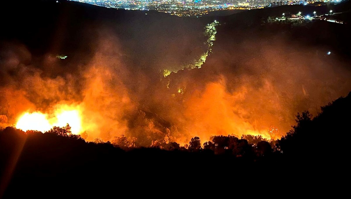 İzmir Bornova'daki orman yangınının nedeni belli oldu