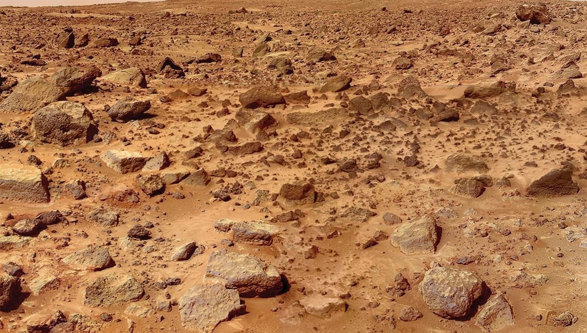 Mars'ta hayatta kalabiliyor! İnsan yaşamını başlatabilir