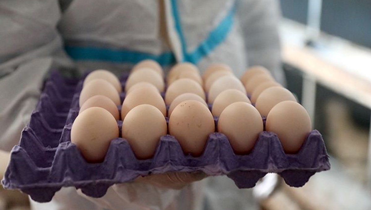 Rusya, Türkiye'den milyonlarca adet yumurta ithal etti